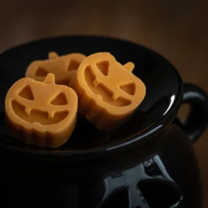 Bewitched Pumpkin Wax Melts
