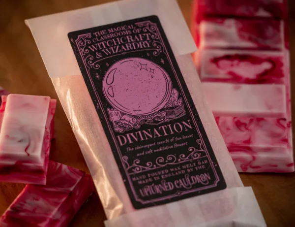 Divination Wax Melt Snap Bar